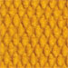 Wheat Gold